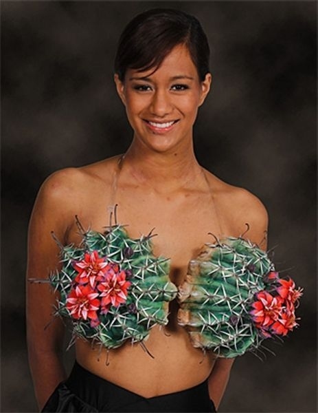 Bra dan CD unik © 2016 brilio.net