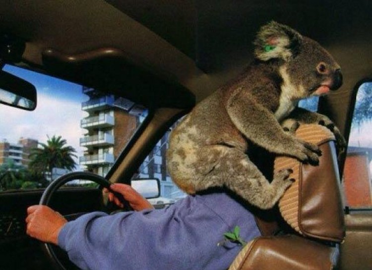 21 Momen mobil © 2016 brilio.net