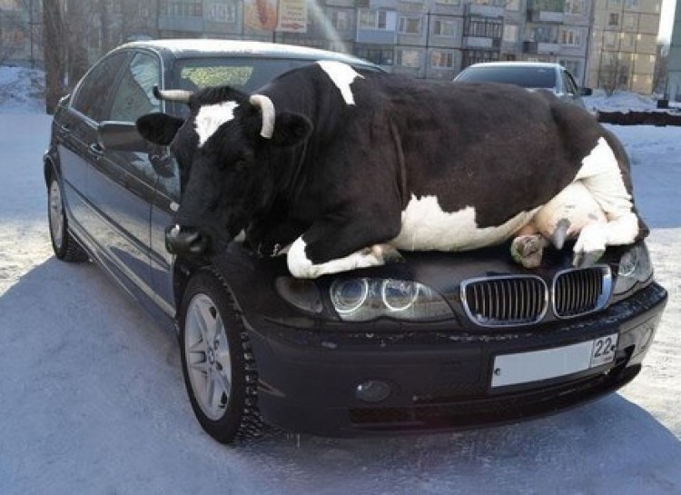 21 Momen mobil © 2016 brilio.net