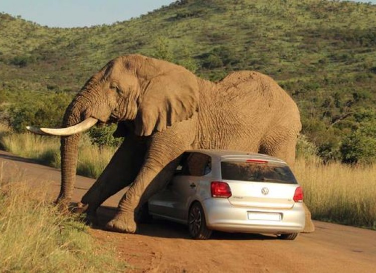 21 Momen mobil © 2016 brilio.net