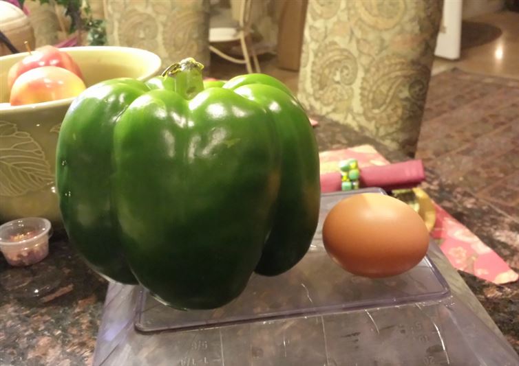 makanan jumbo © 2016 brilio.net