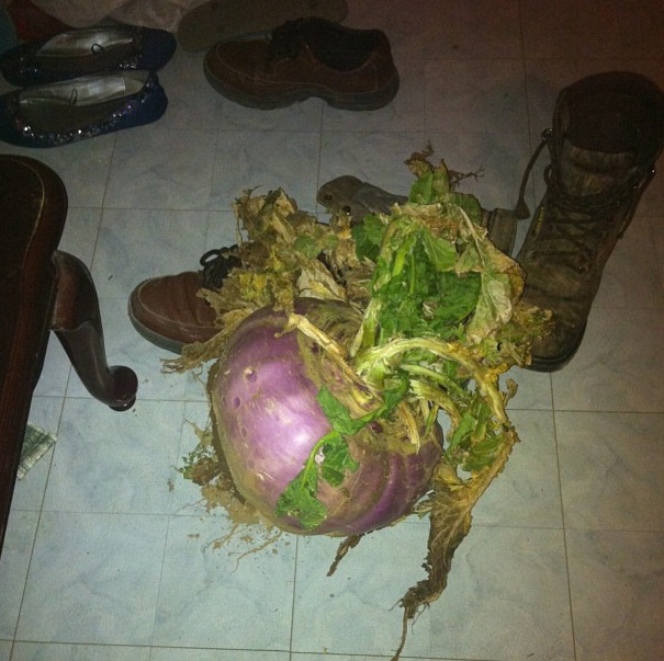 makanan jumbo © 2016 brilio.net