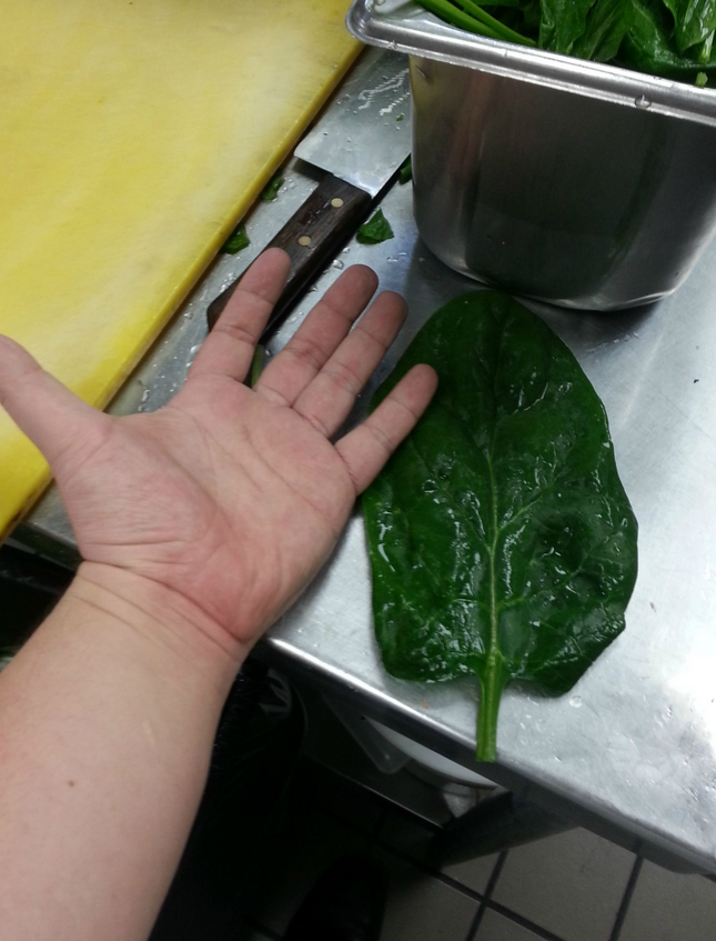 makanan jumbo © 2016 brilio.net