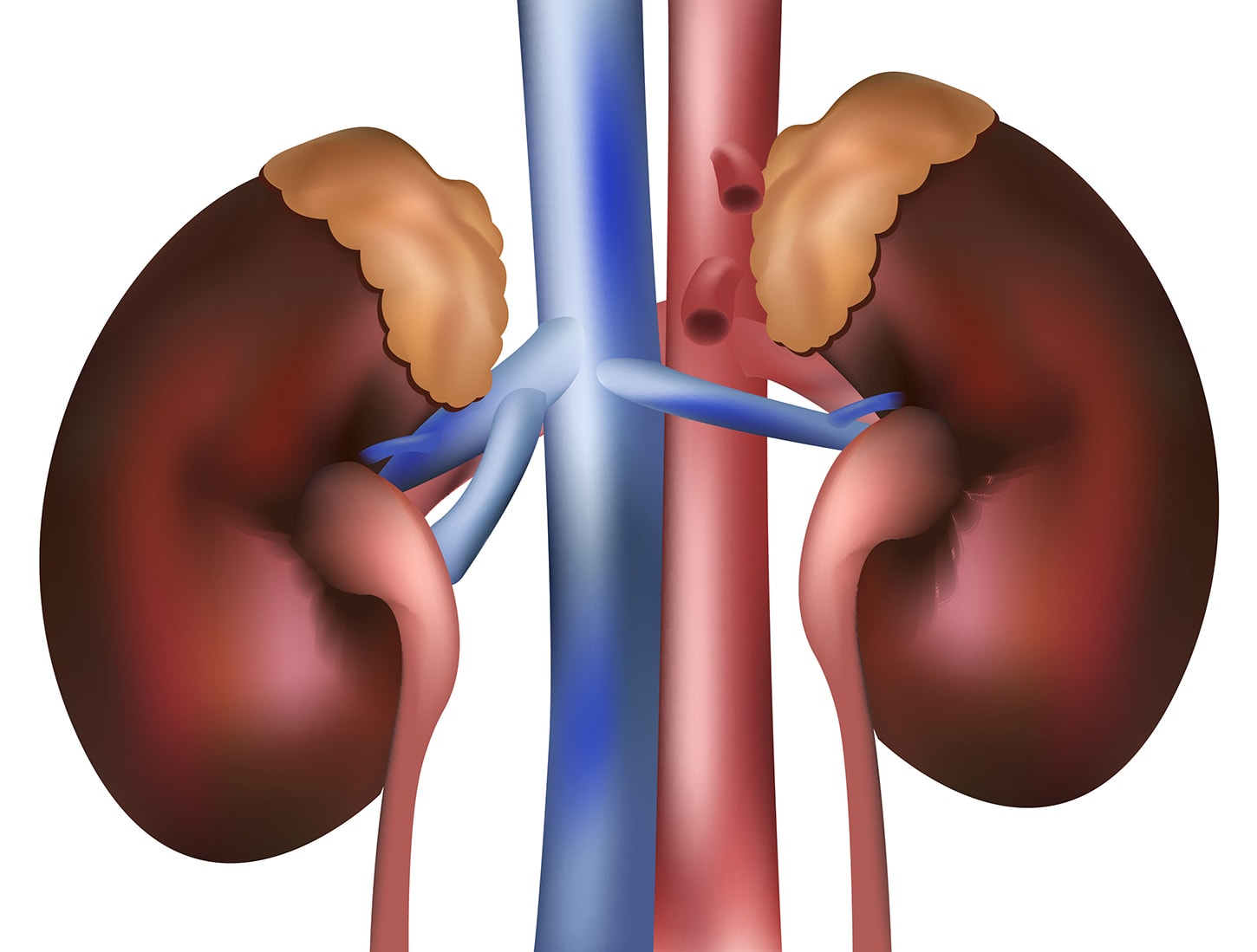 5 Tanda sepele penyakit gagal ginjal yang sering diabaikan, catet!