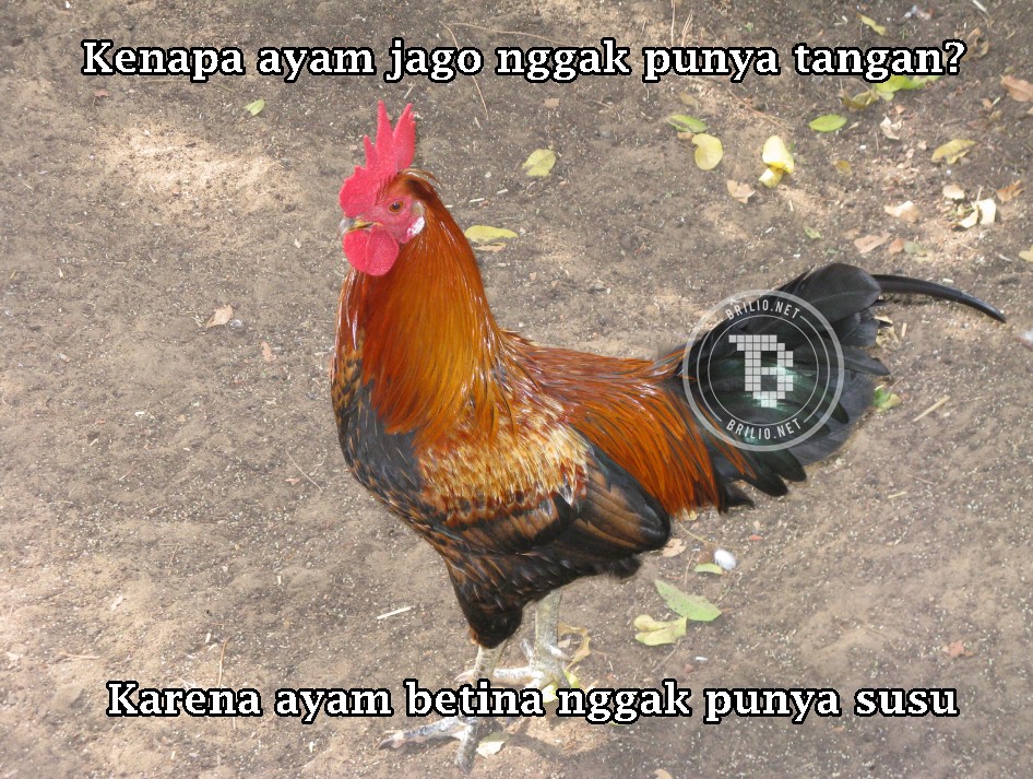 tebakan pria  © 2016 brilio.net tebakan pria  © 2016 brilio.net