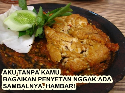 meme sambal © 2016 brilio.net meme sambal © 2016 brilio.net