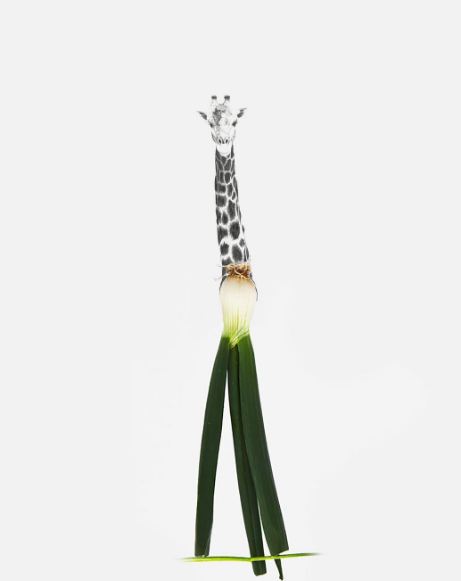 Karya ekspresi © 2016 brilio.net Karya ekspresi © 2016 brilio.net