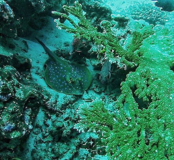 Jalan jalan aceh © 2016 brilio.net Jalan jalan aceh © 2016 brilio.net