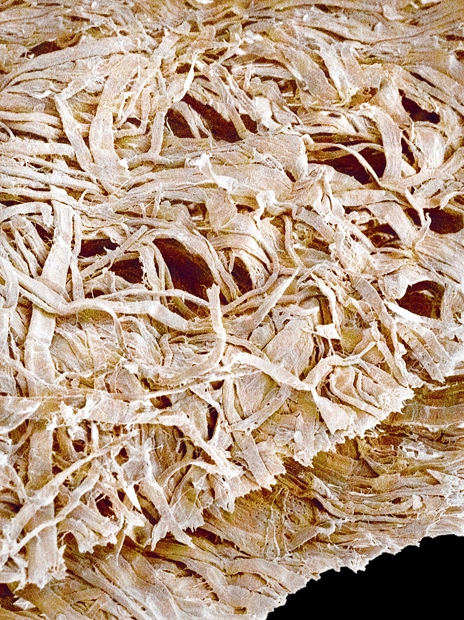 foto mikroskop © 2016 brilio.net foto mikroskop © 2016 brilio.net