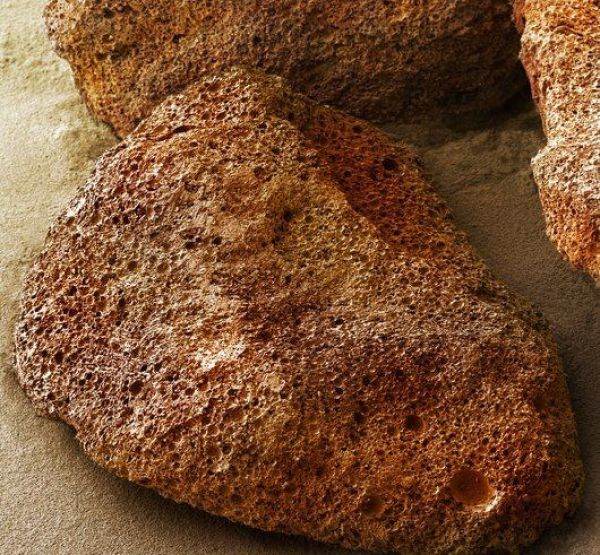 foto mikroskop © 2016 brilio.net foto mikroskop © 2016 brilio.net