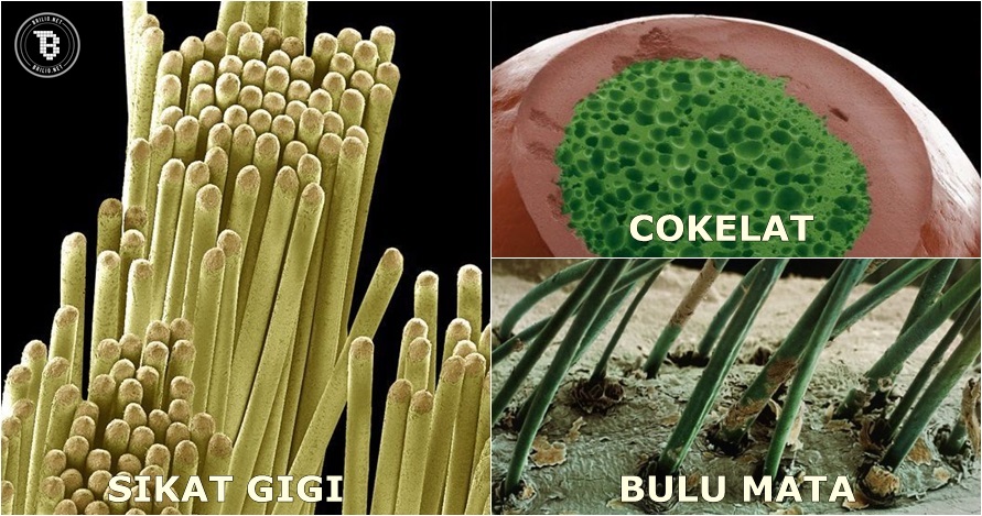 Pakai mikroskop, 15 benda 'sepele' ini jadi terlihat menakjubkan!