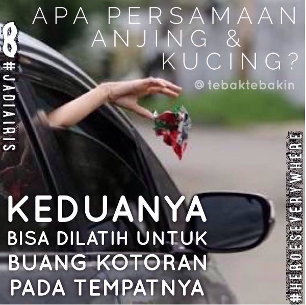 meme apa persamaan lucu 1-13 © 2016 brilio.net