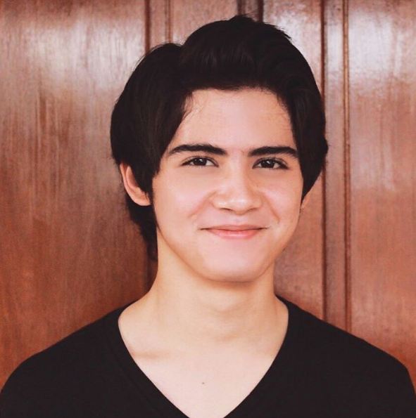 Artis prioritas karier  © 2016 brilio.net