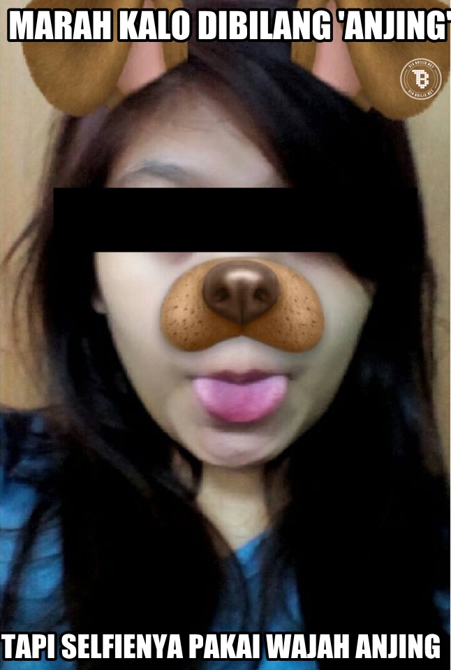 meme snapchat © 2016 brilio.net meme snapchat © 2016 brilio.net