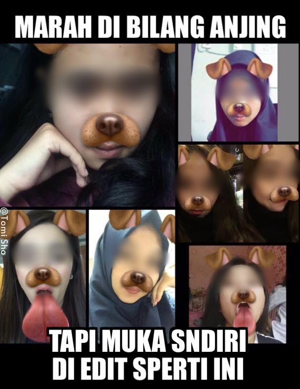 meme snapchat © 2016 brilio.net meme snapchat © 2016 brilio.net