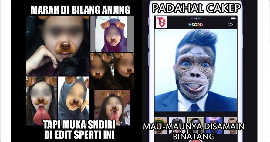 8 Meme sindir pengguna media sosial yang pakai filter hewan, kocak! 