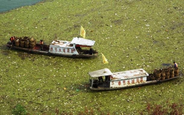 21 China negara sampah © 2016 brilio.net