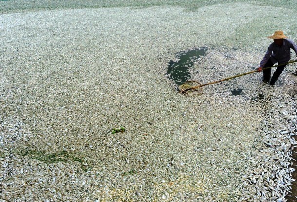 21 China negara sampah © 2016 brilio.net