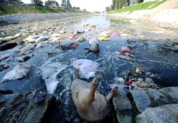 21 China negara sampah © 2016 brilio.net