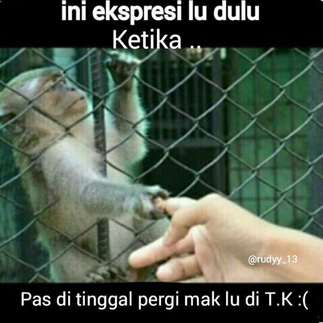 Meme ekspresi kamu © 2016 Meme ekspresi kamu