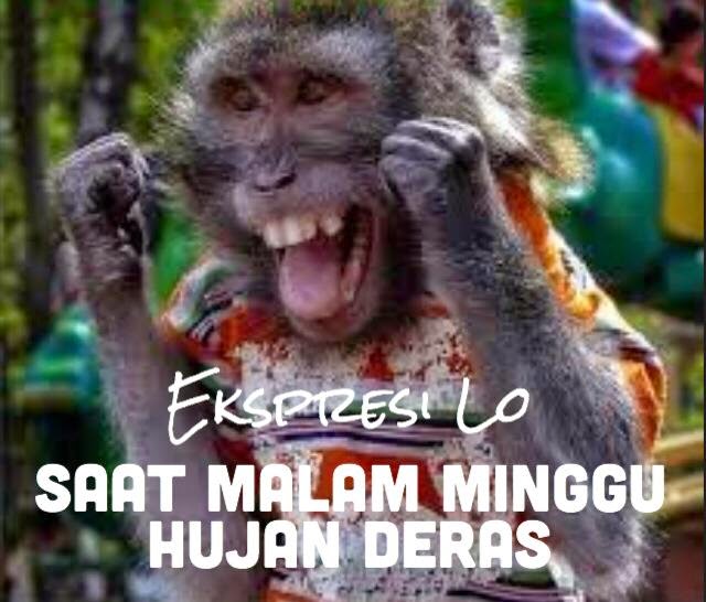 Meme ekspresi kamu © 2016 Meme ekspresi kamu