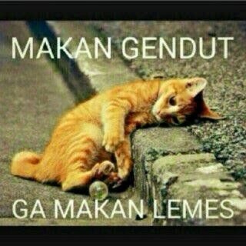 meme makan gendut © 2016 brilio.net meme makan gendut © 2016 brilio.net