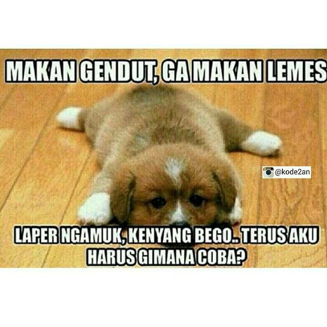 meme makan gendut © 2016 brilio.net meme makan gendut © 2016 brilio.net