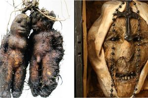 20 Benda seram ini bikin kamu tak berani menatapnya lama-lama