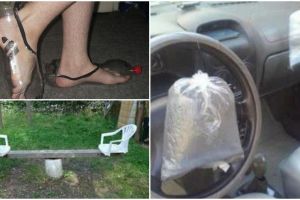 25 Ide konyol ini dijamin bikin kamu ngakak guling-guling