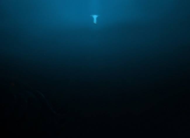 Renang Alam Bebas © 2016 brilio.net