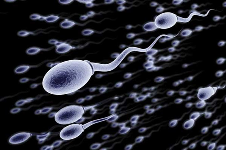 10 Fakta menarik dari sperma, cegah kanker payudara & keriput wajah