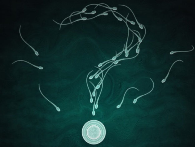 fakta menarik sperma © 2016 brilio.net fakta menarik sperma © 2016 brilio.net