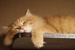 Kamu pemalas tapi pengen tetep sehat? Ini 9 cara mudahnya!