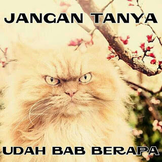20 meme skripsi ujian terberat mahasiswa © 2016 brilio.net