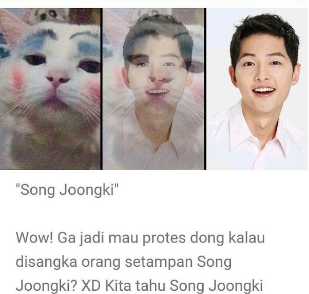 Vonvon Ngaco © 2016 brilio.net Vonvon Ngaco © 2016 brilio.net