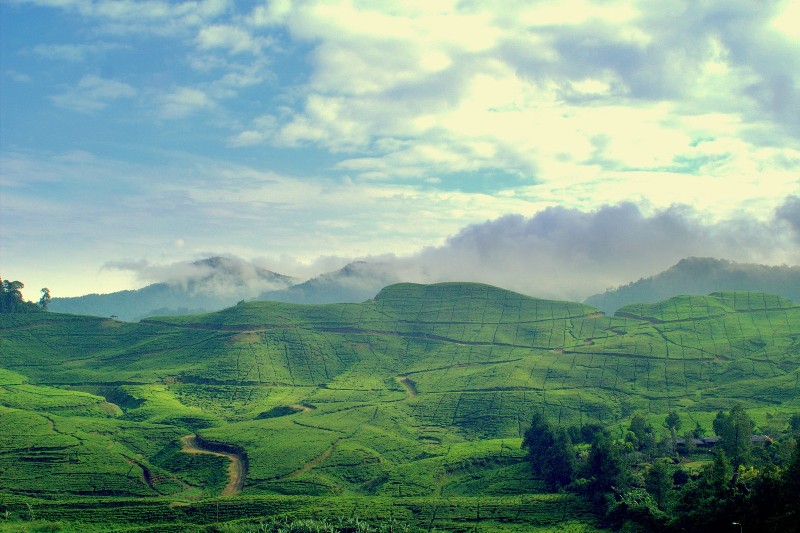 Indonesia Surga © 2016 brilio.net