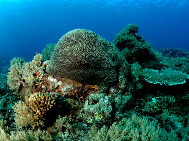 Indonesia Surga © 2016 brilio.net