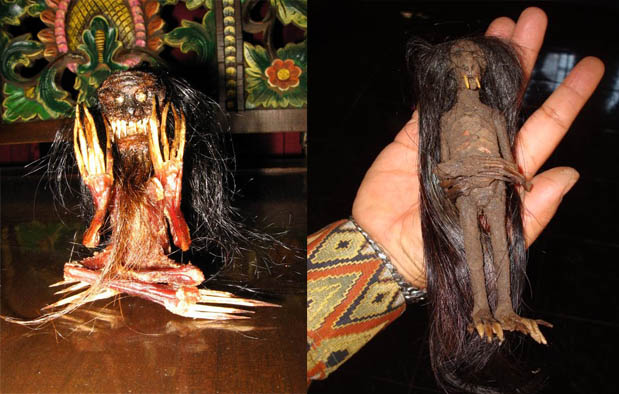 pelihara setan  © 2016 brilio.net