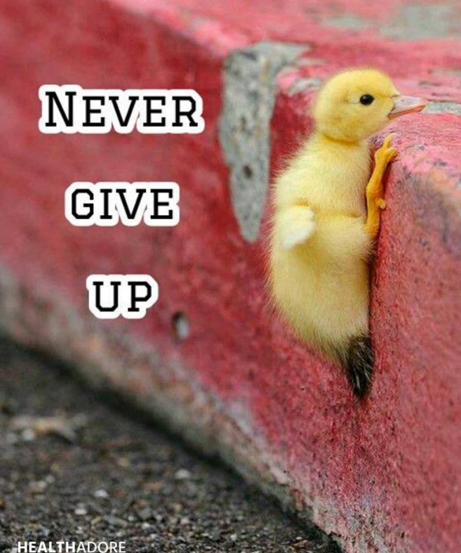 nasihat bijak  © 2016 brilio.net nasihat bijak  © 2016 brilio.net