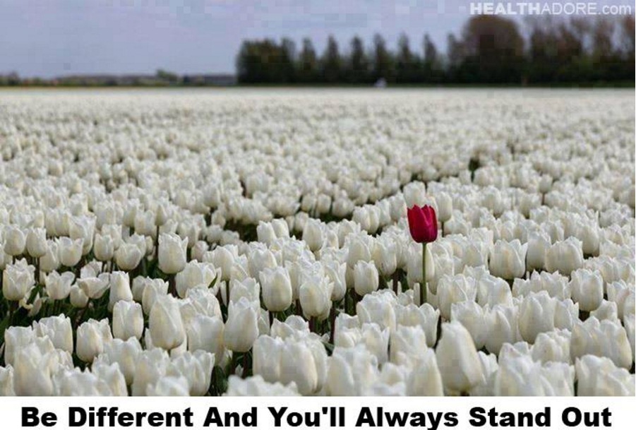 nasihat bijak  © 2016 brilio.net nasihat bijak  © 2016 brilio.net