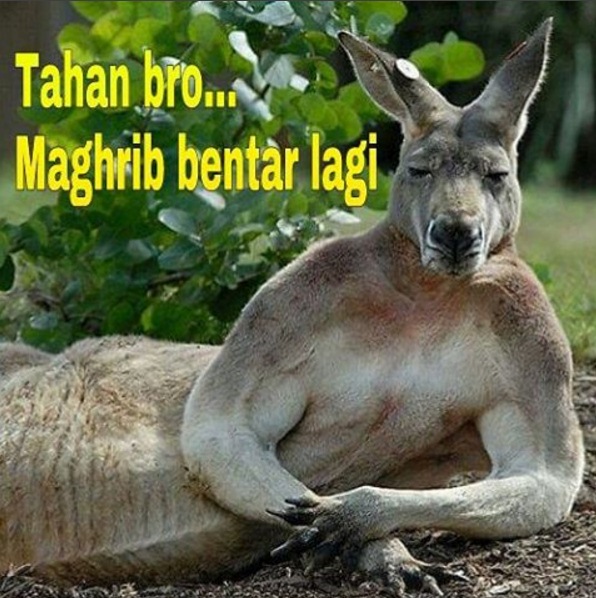 ramadan ngakak  © 2016 brilio.net