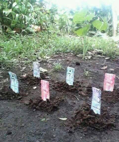 Aneh Pinoy © 2016 brilio.net