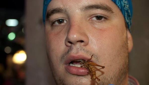 20 Orang makan serangga © 2016 brilio.net