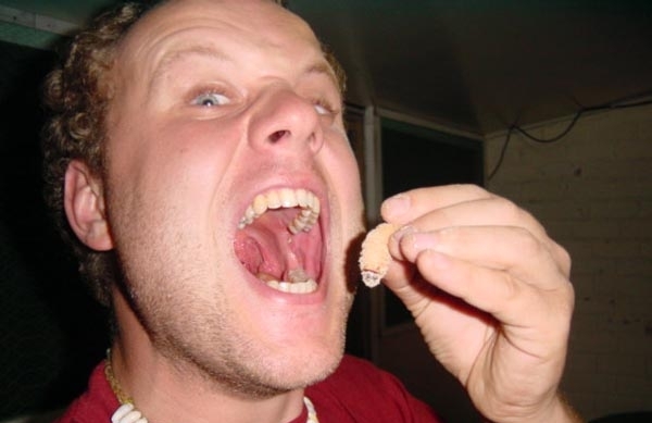 20 Orang makan serangga © 2016 brilio.net