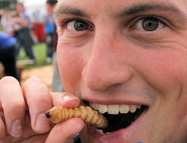 20 Orang makan serangga © 2016 brilio.net