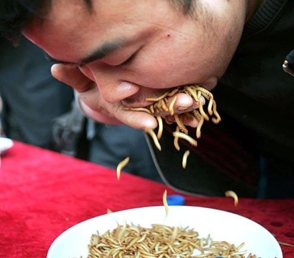 20 Orang makan serangga © 2016 brilio.net