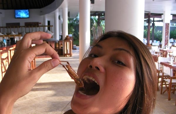 20 Orang makan serangga © 2016 brilio.net