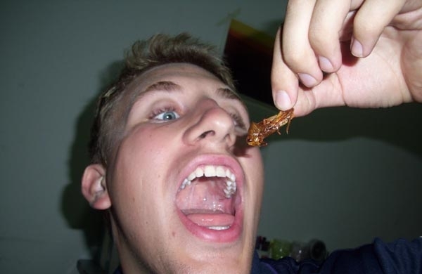 20 Orang makan serangga © 2016 brilio.net