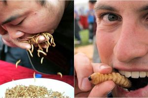 20 Orang ini nekat makan serangga, ulat & cacing, bikin perut mual!