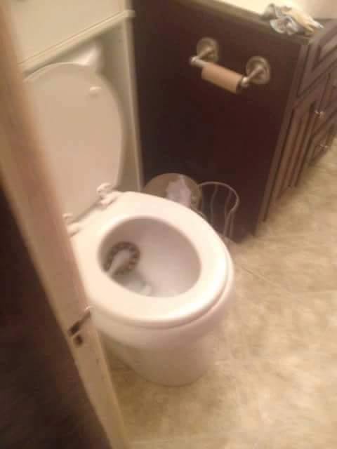 Ular WC © 2016 brilio.net